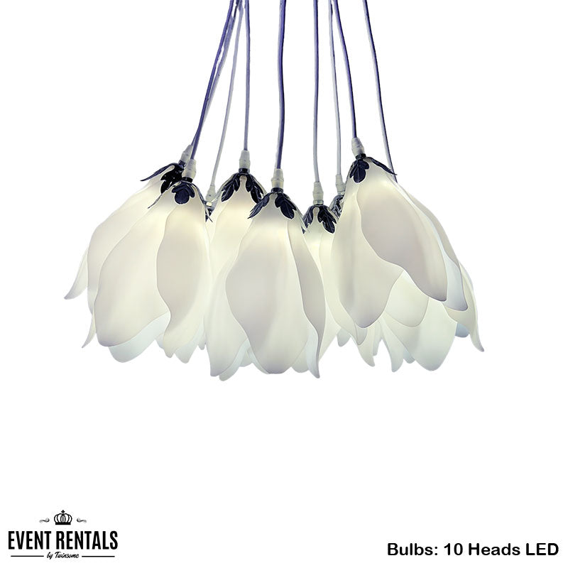 Ceiling Decor